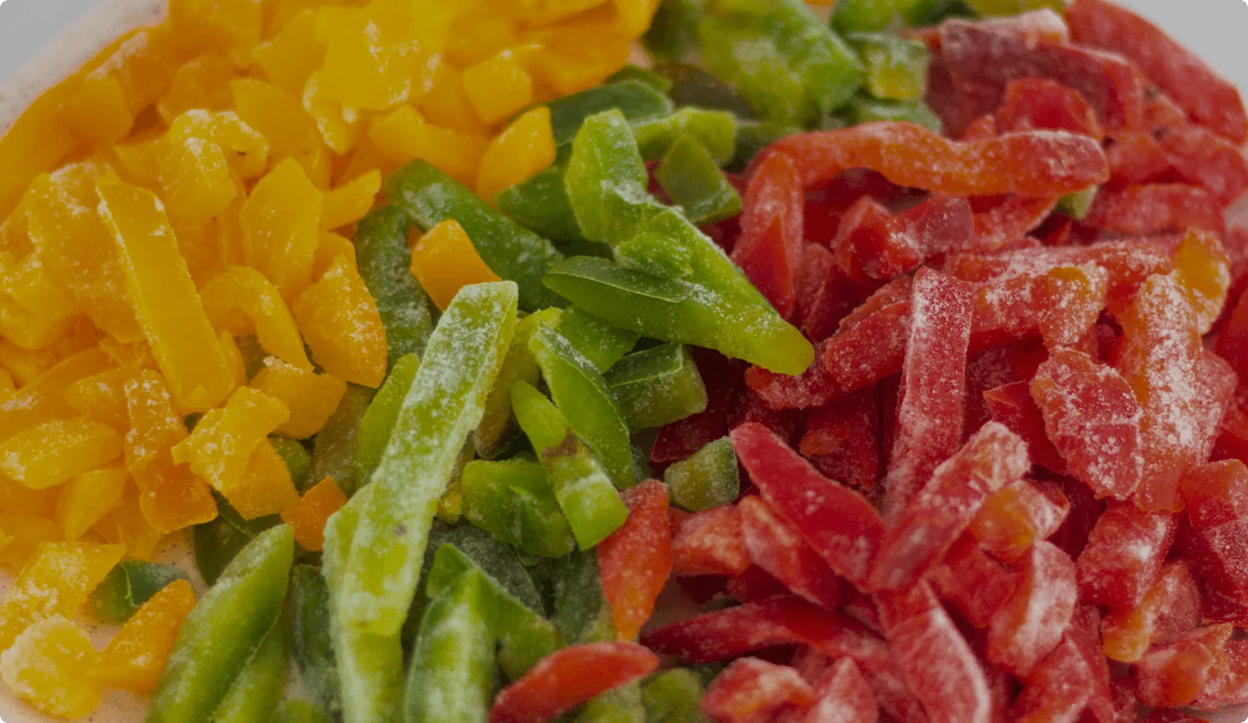 Fondo Formulario BioCongelados