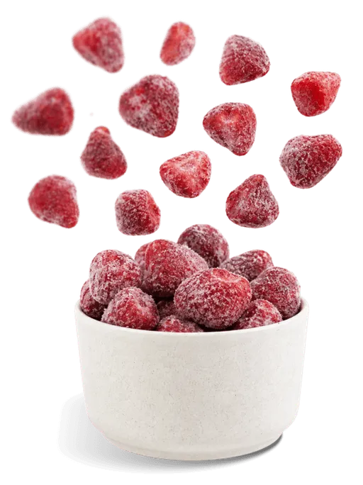 Sobre Nosotros - BioCongelados